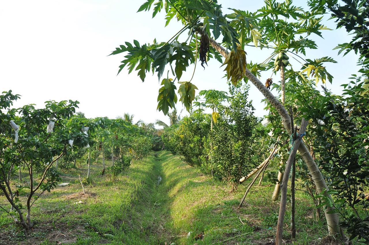 Orchard Fruit Farm Bungalow 두옹 동 외부 사진