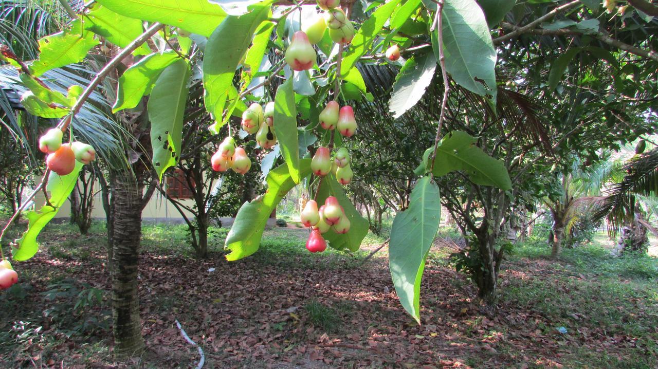 Orchard Fruit Farm Bungalow 두옹 동 외부 사진