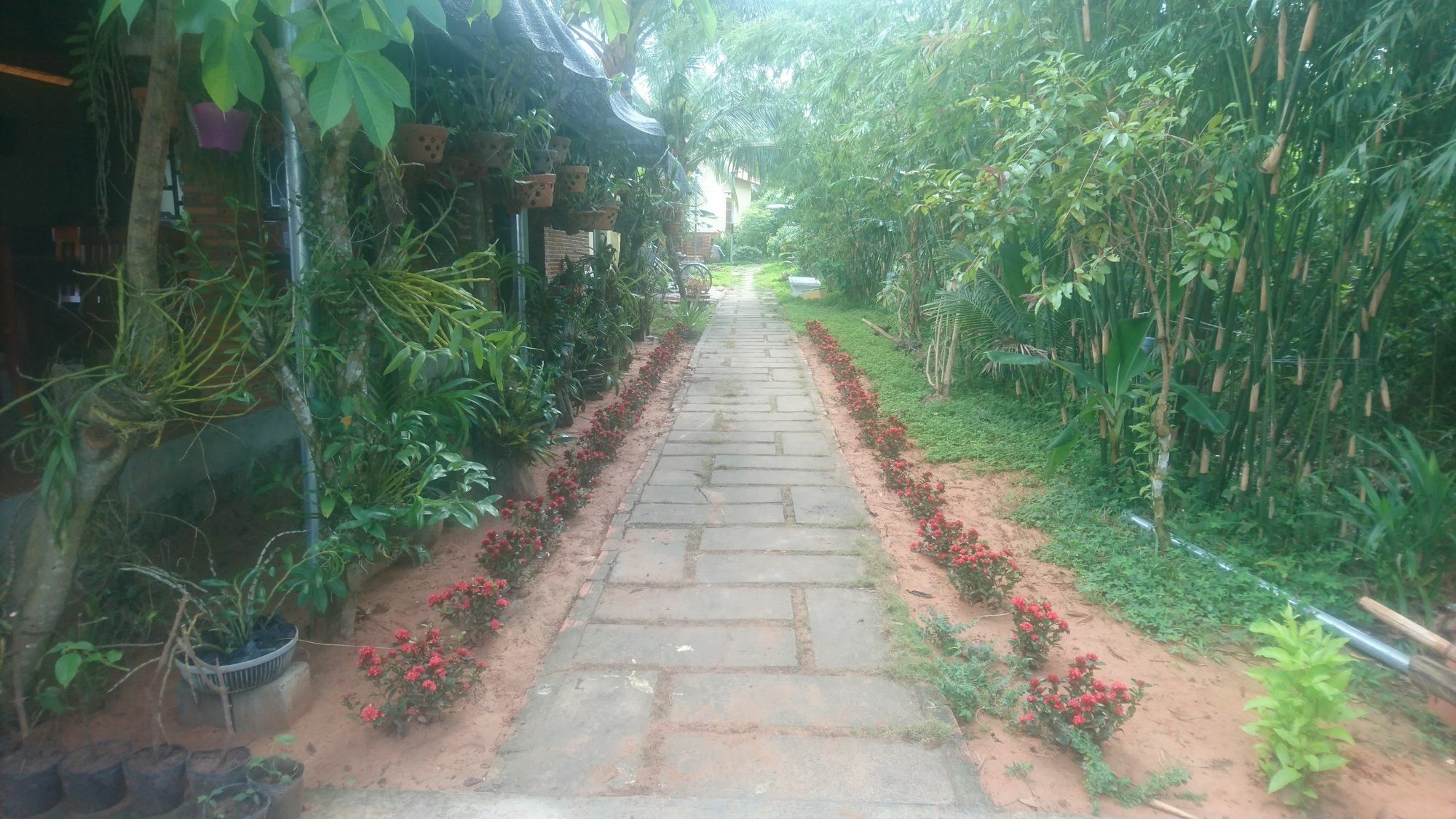 Orchard Fruit Farm Bungalow 두옹 동 외부 사진
